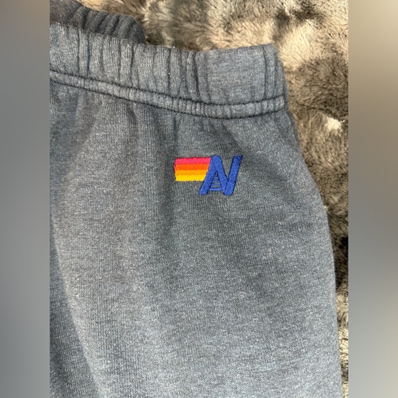 Gray Aviator Nation Sweatpants! - Picture 9 of 9